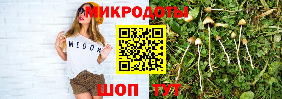 Наро-Фоминск  Псилоцибиновые грибы Psilocybe  Галлюциногенные грибы GOLDEN TEACHER  Вход с VPN 
